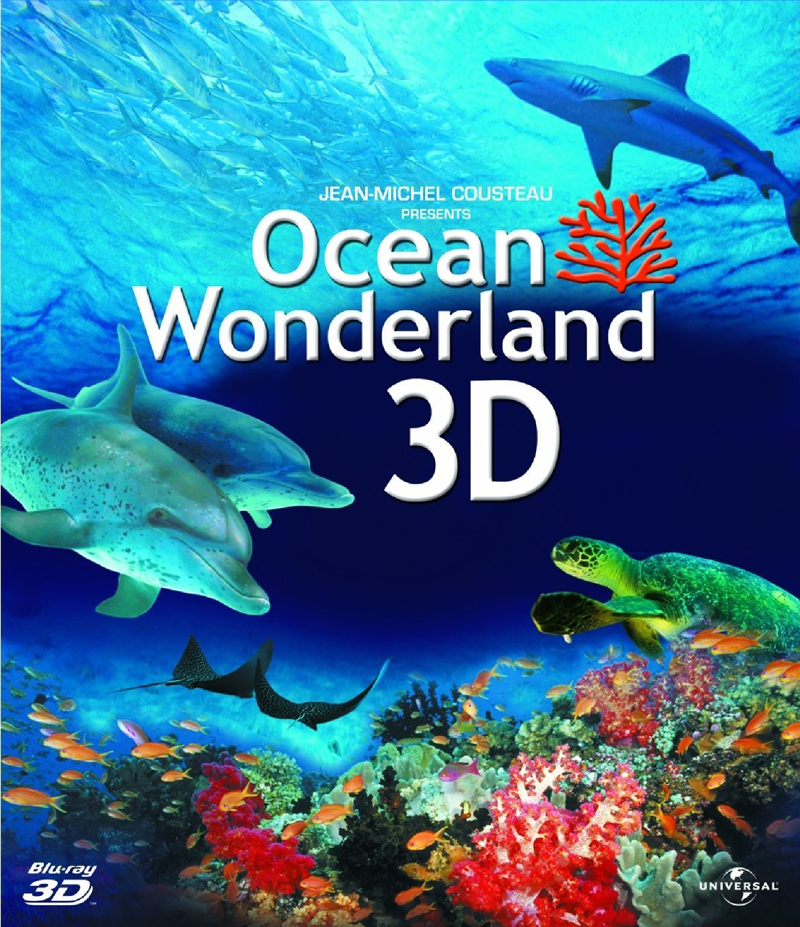 Просмотр документального фильма «Удивительный океан 3D»
