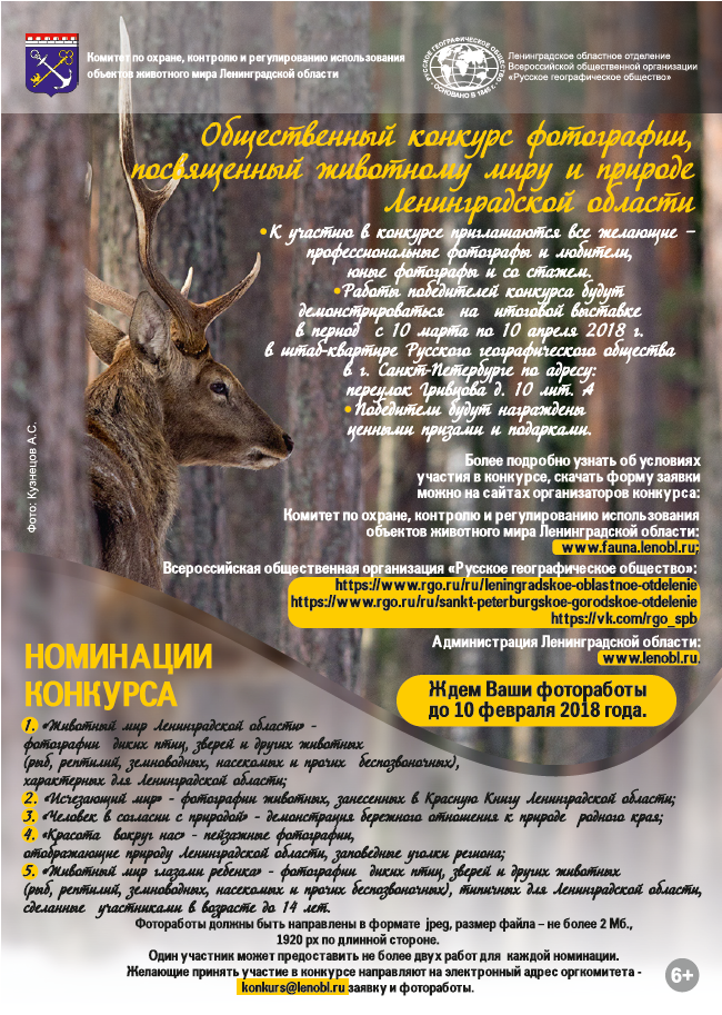 Общественный конкурс фотографии, посвящённый животному миру и природе Ленинградской области