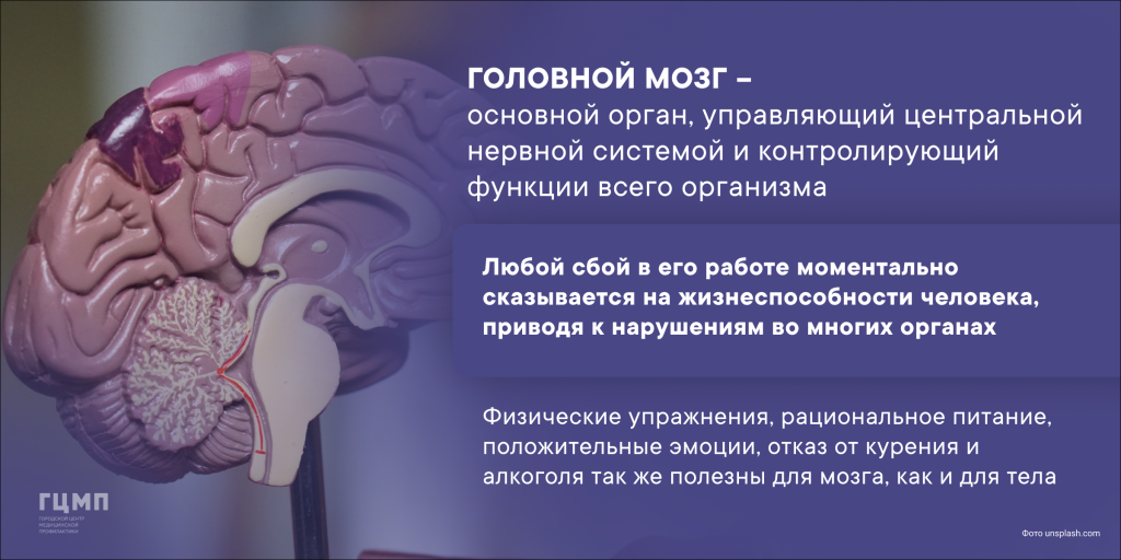 17 - 23 июля - Неделя сохранения здоровья головного мозга.