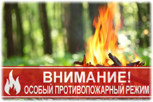 На территории Санкт-Петербурга введен особый противопожарный режим
