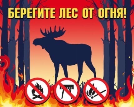 Противопожарный режим в Петербурге продлевается по 26 июля.