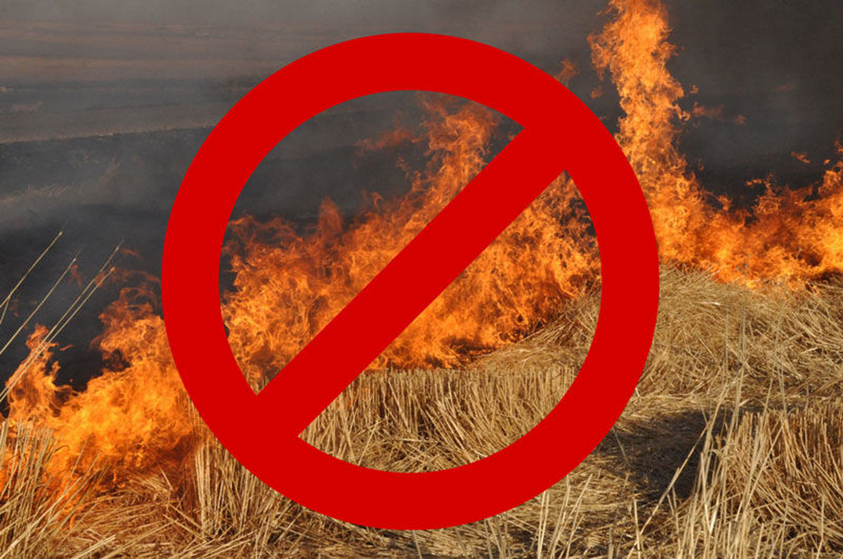 Требования пожарной безопасности при выжигании сухой травянистой растительности на земельных участках.